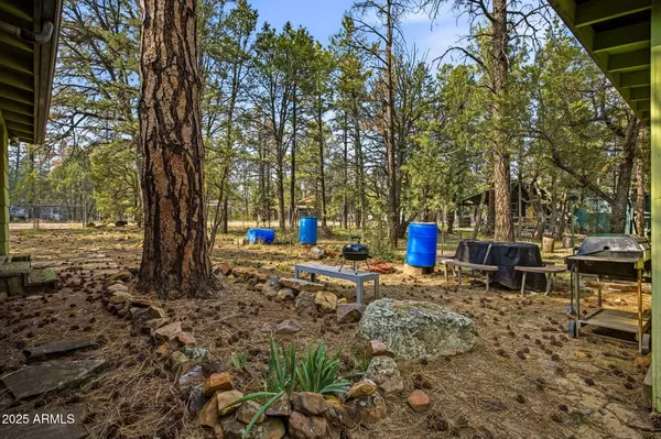 Overgaard, AZ 85933,2887 CENTER Road