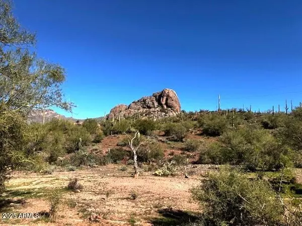 Queen Valley, AZ 85118,0 Elephant Butte Road #-