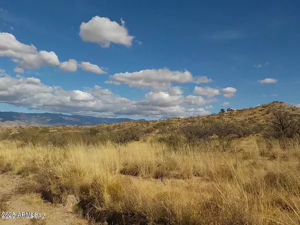 Willcox, AZ 85643,3616 W Grey Bear Road #117