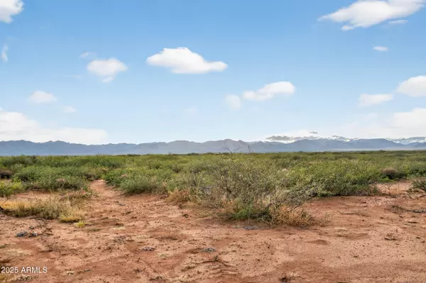 Mcneal, AZ 85617,31847 ACRES -- #25