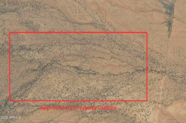 31847 ACRES -- #25, Mcneal, AZ 85617