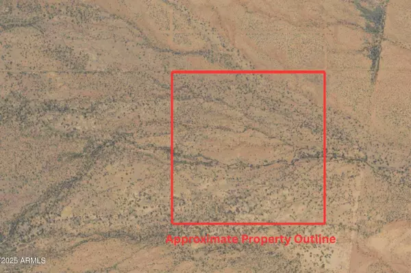 Mcneal, AZ 85617,31847 ACRES -- #25