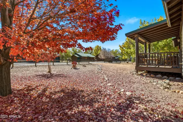 Overgaard, AZ 85933,2348 S BUFFALO Loop