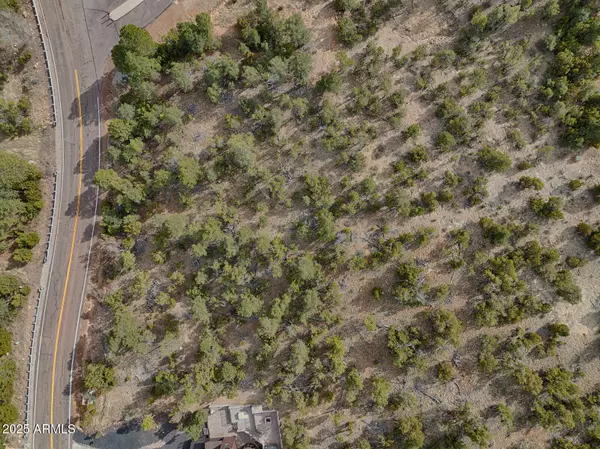 Heber, AZ 85928,3360 N STONE BRIDGE Trail #3