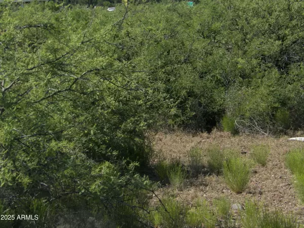 Clarkdale, AZ 86324,2080 Crossroads Boulevard #129