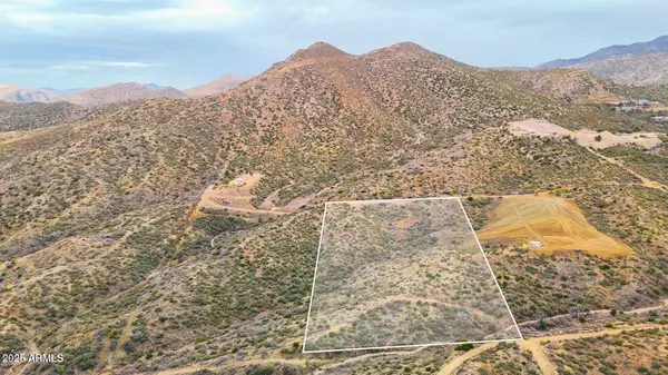 Globe, AZ 85501,N Snapdragon Way 5 Acres -- #-