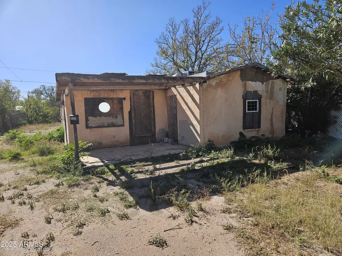 Douglas, AZ 85607,325 E 8th Street