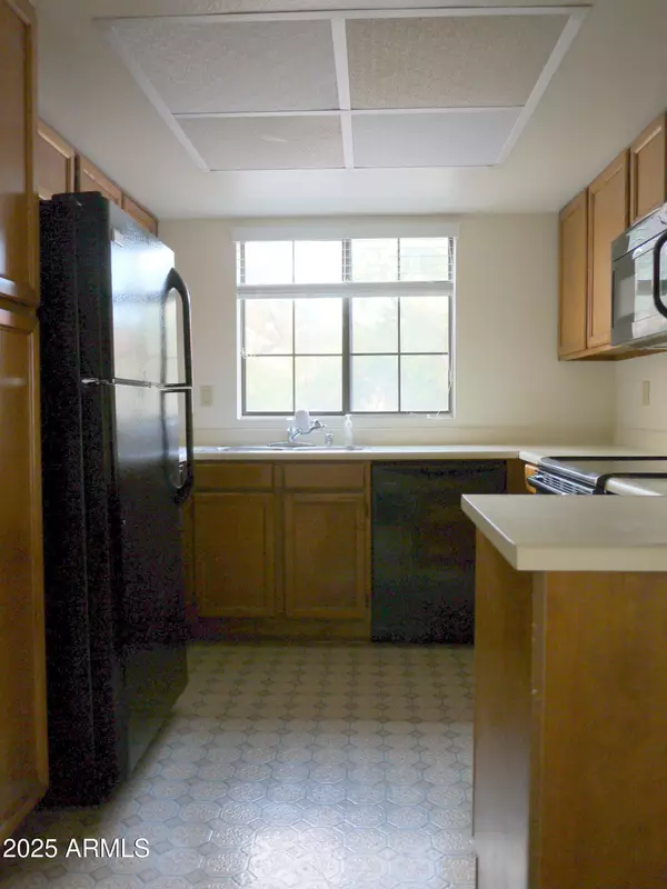 Tempe, AZ 85288,700 E Mesquite Circle #P216