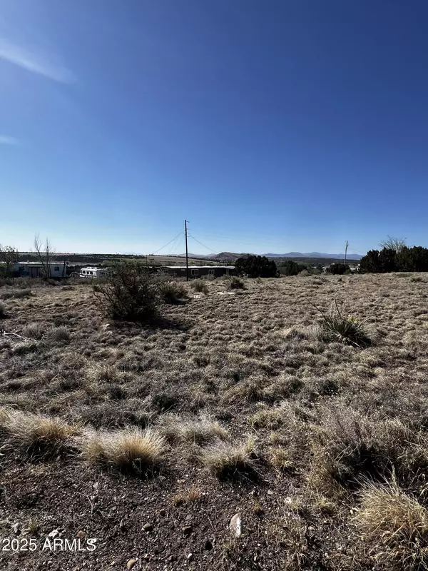 Concho, AZ 85924,60 SHORT Lane #1