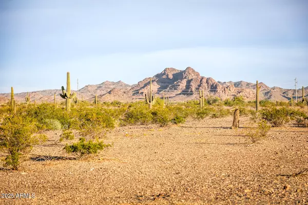 Tonopah, AZ 85354,0 N 401ST Avenue #11