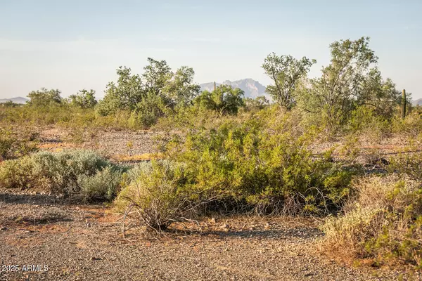 Tonopah, AZ 85354,0 N 401ST Avenue #11