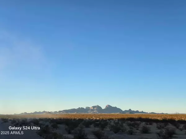 Tonopah, AZ 85354,165 S Burger Street #Lot A