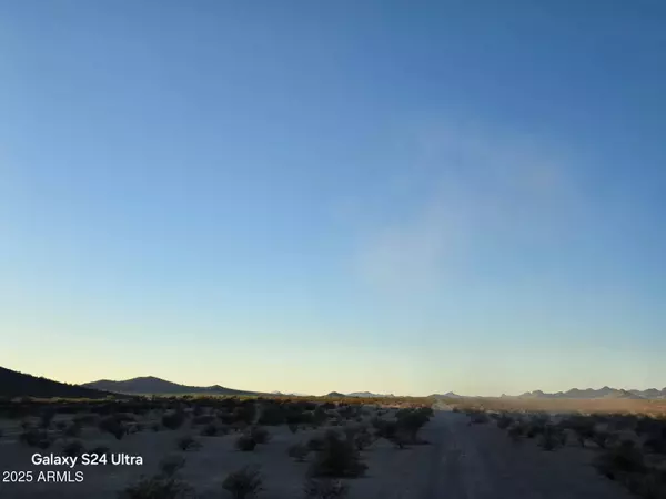 Tonopah, AZ 85354,165 S Burger Street #Lot E