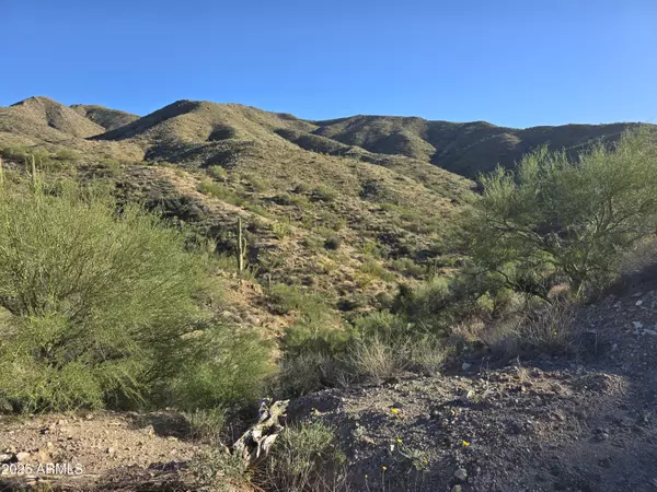 Wickenburg, AZ 85390,0 Constellation 84 Acre Road #-