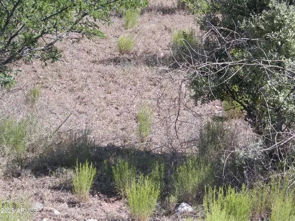 Clarkdale, AZ 86324,660 Pine Ridge Road #13