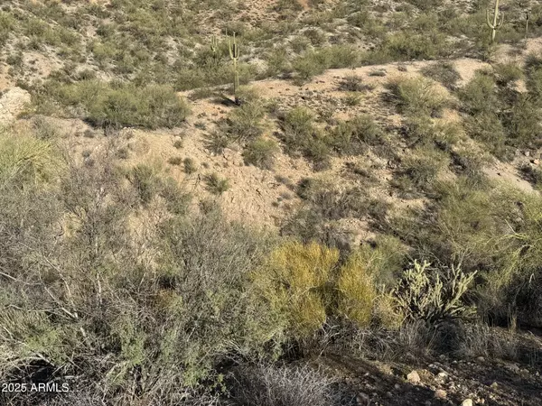 Wickenburg, AZ 85390,38000 S Blue Tank Trail #-