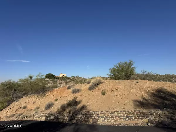 Wickenburg, AZ 85390,38000 S Blue Tank Trail #-