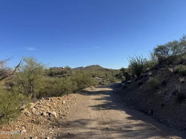 Wickenburg, AZ 85390,0 S Blue Tank Trail #-