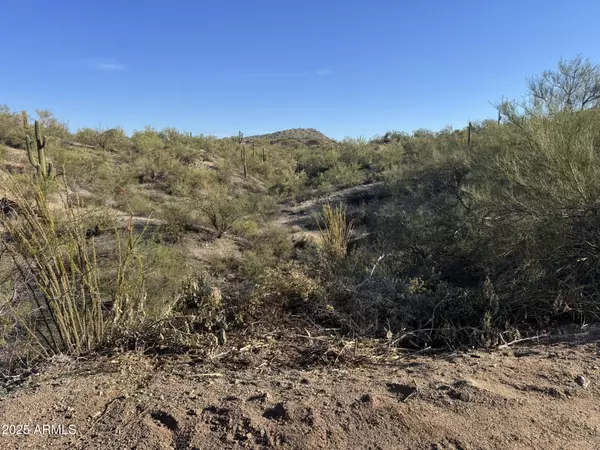 Wickenburg, AZ 85390,0 S Blue Tank Trail #-