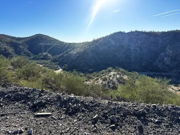 Wickenburg, AZ 85390,0 S Blue Tank Trail #-