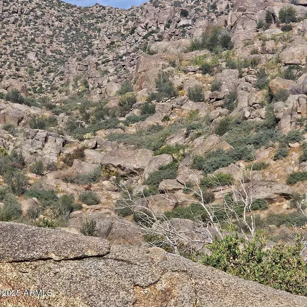 Yarnell, AZ 85362,S Las Tiendas 4E Drive #4