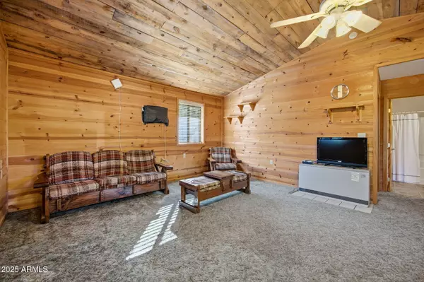 Overgaard, AZ 85933,3157 Tonto Drive