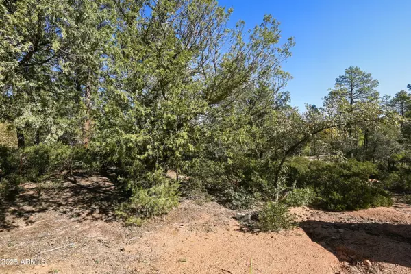 Payson, AZ 85541,3004 E Game Trail #243