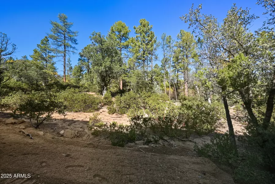 3004 E Game Trail #243, Payson, AZ 85541