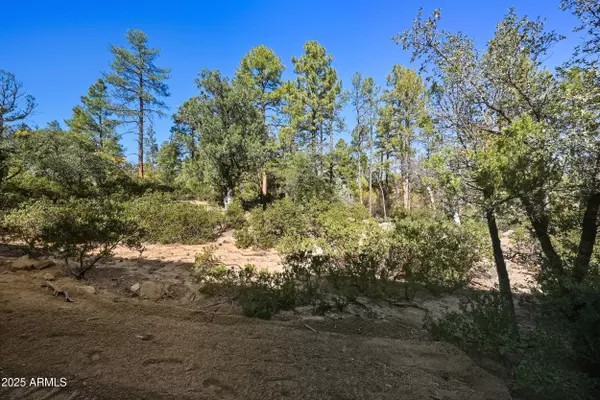 3004 E Game Trail #243, Payson, AZ 85541