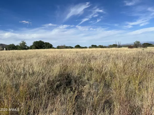 Hereford, AZ 85615,Bryerly Dr & Andalusian Way #16