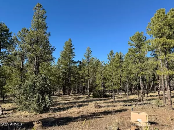 Flagstaff, AZ 86001,3 N Quintana Drive #-