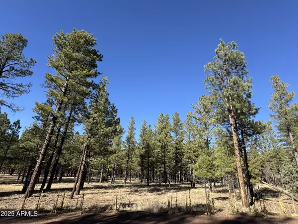 Flagstaff, AZ 86001,3 N Quintana Drive #-