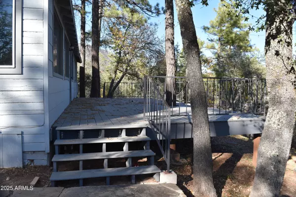 Pine, AZ 85544,3829 N PINE Road N