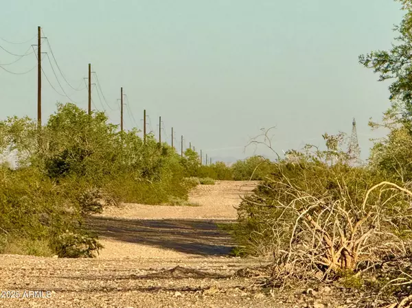 Tonopah, AZ 85354,0 N 487th Ave 4.11 Acres -- #-