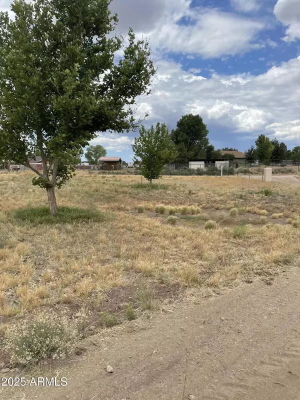 Chino Valley, AZ 86323,1875 N WINDMILL Way #-