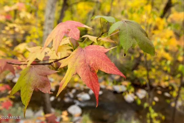 Sedona, AZ 86336,4426 N State Route 89A Highway #9