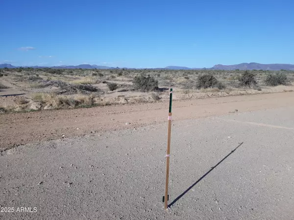Gila Bend, AZ 85337,0 W HYDER - LOT 2 Road #2
