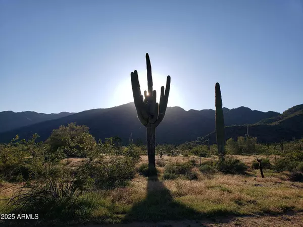 Litchfield Park, AZ 85340,5607 N 193RD Avenue