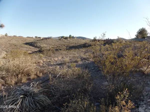 Tombstone, AZ 85638,0 Lot 112 Kino Place #112