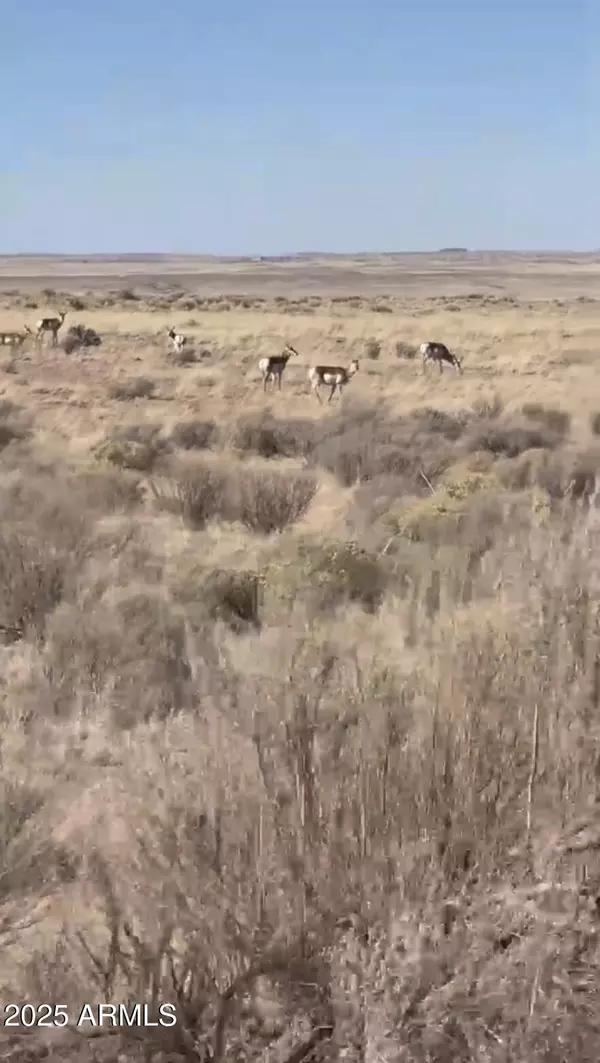 St Johns, AZ 85936,37 River Meadow Ranch -- #37