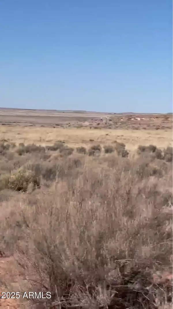 St Johns, AZ 85936,37 River Meadow Ranch -- #37