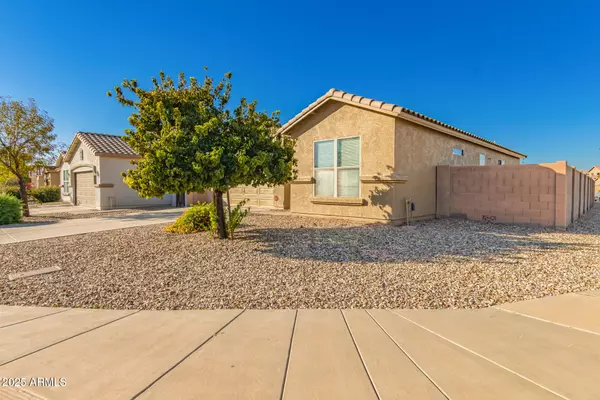 Tolleson, AZ 85353,10004 W ODEUM Lane