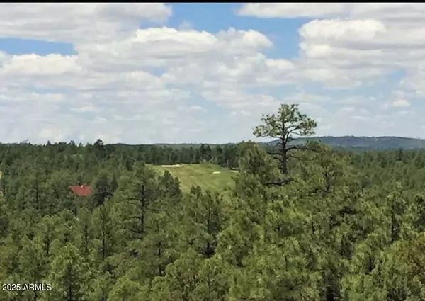 Show Low, AZ 85901,3680 W SAGE Lane #260