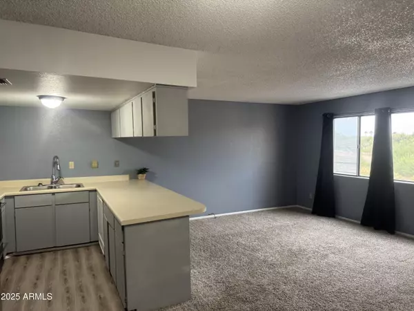 Wickenburg, AZ 85390,455 N TEGNER Street #26