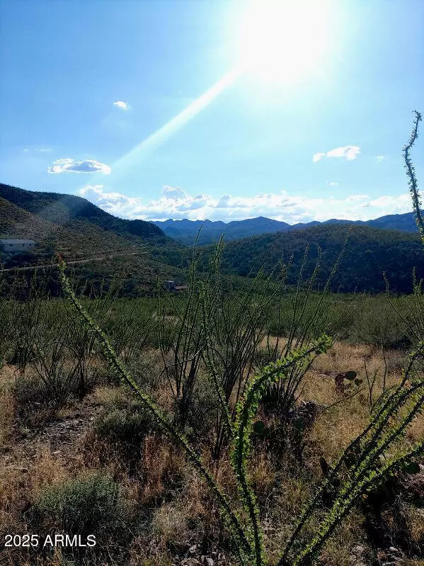 Vail, AZ 85641,16231 E HILLTON RANCH Road #-