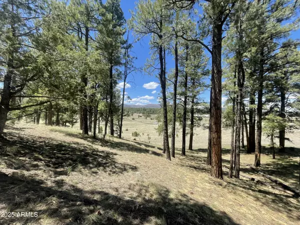 Nutrioso, AZ 85932,Country Road 2276 -- #2