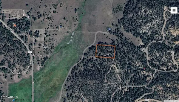 Nutrioso, AZ 85932,Country Road 2276 -- #2