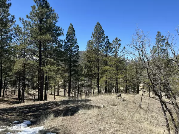 Nutrioso, AZ 85932,Country Road 2276 -- #2