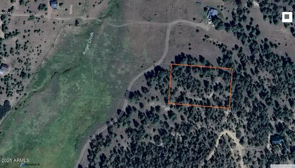 Nutrioso, AZ 85932,Country Road 2276 -- #2