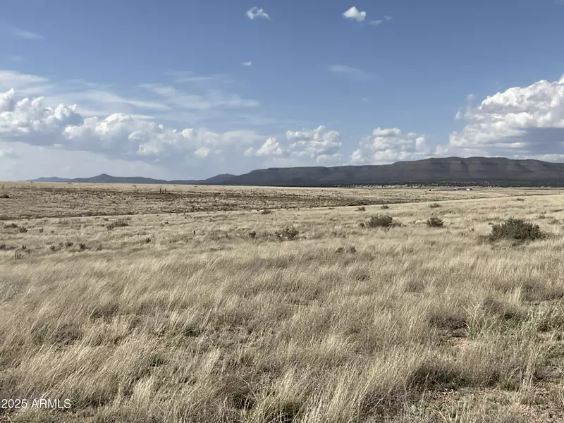 157 Red Tail Lane #2, Paulden, AZ 86334